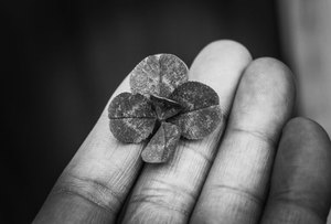 cách chơi F8bet